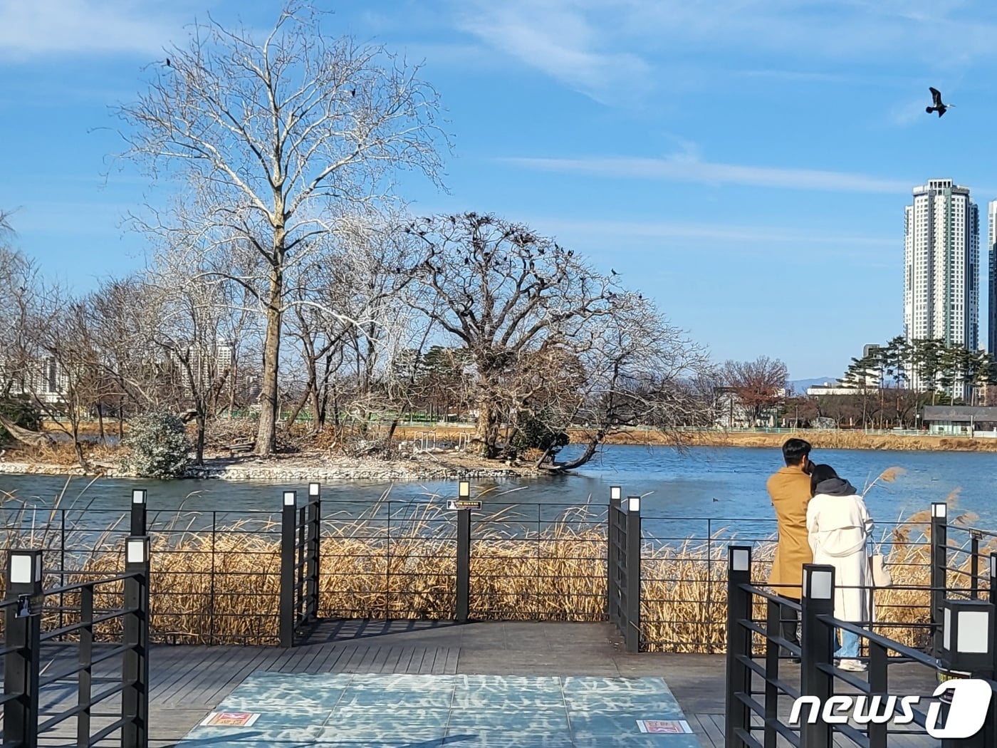 6일 오후 대구 대표관광지인 수성못에서 주말을 보내고 있는 시민들. 2023.1.6/뉴스1 ⓒ News1 이성덕 기자