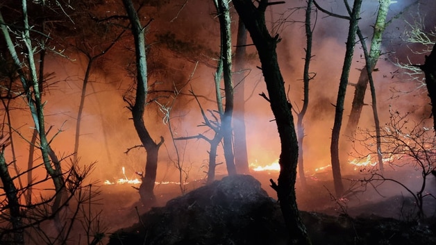 자료사진/뉴스1