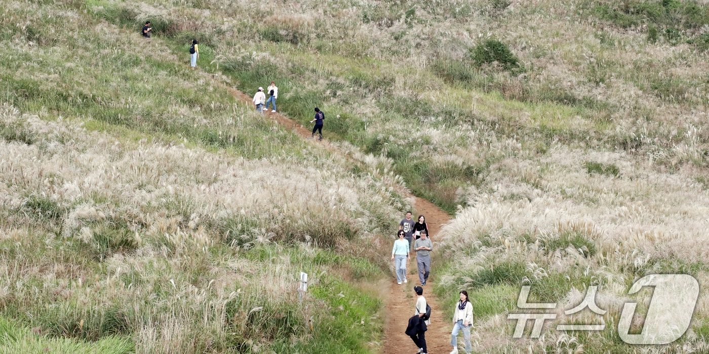 억새길 산책하는 관광객/뉴스1