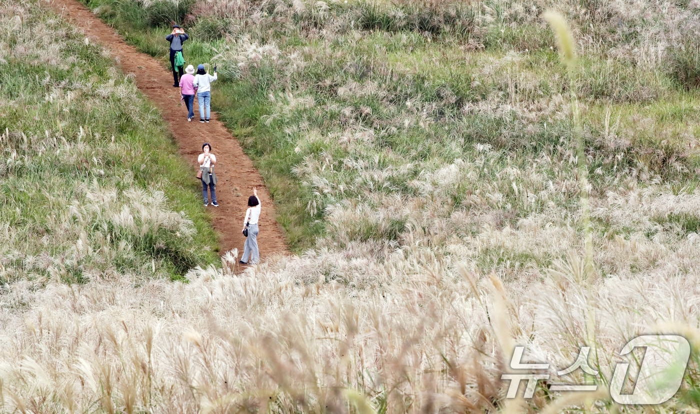 자료사진.ⓒ News1