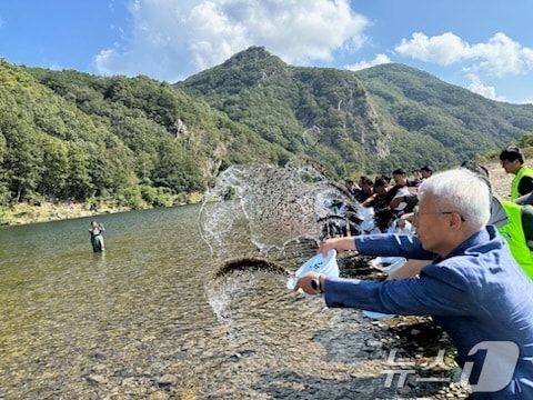 충남수산자원연구소 직원들이 금산군 부리면 금강에서 다슬기를 방류하고 있다.&#40;충남도 제공&#41; /뉴스1