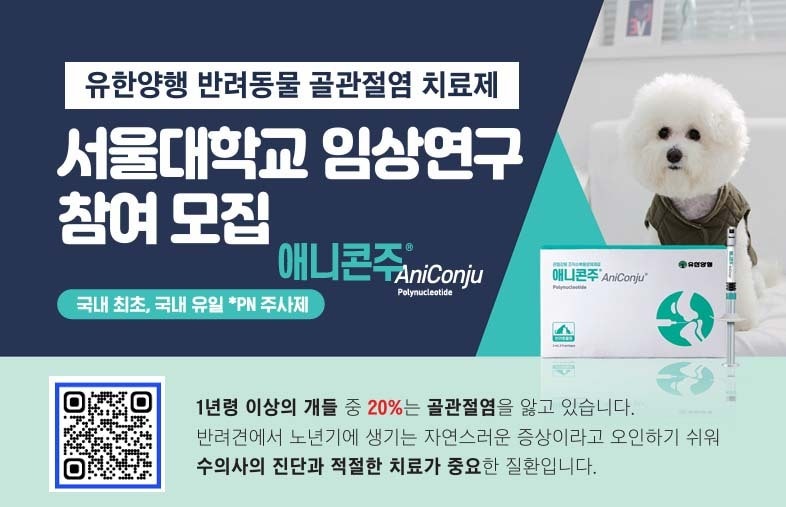 애니콘주 안내문(유한양행 제공) ⓒ 뉴스1
