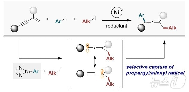 1,3-인아인의 환원성 1,4-알킬아릴화 반응 모식도. &#40;UNIST 제공&#41;