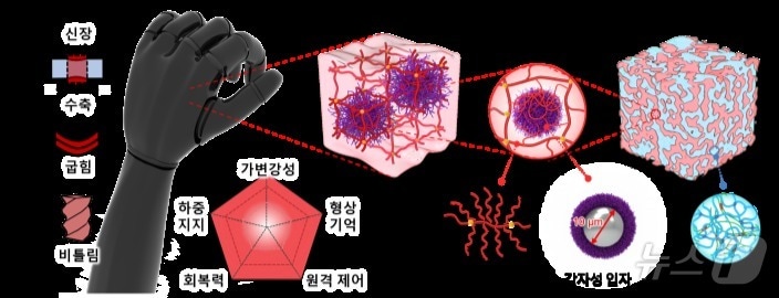 자성 복합 인공근육 및 소재 모식도. &#40;울산과기원 제공&#41;/뉴스1