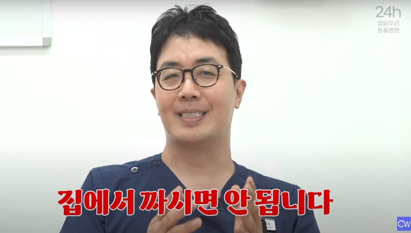 윤병국 청담우리동물병원 원장은 반려견의 눈 다래끼를 집에서 짜지 말라고 권고했다. (청담우리동물병원 유튜브 갈무리) ⓒ 뉴스1