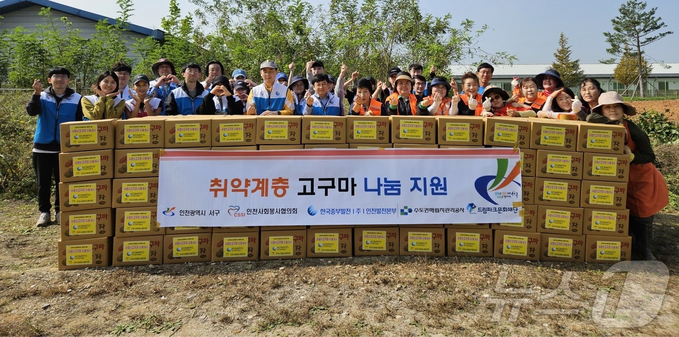 고구마 수확식(한국중부발전 인천발전본부 제공)/뉴스1