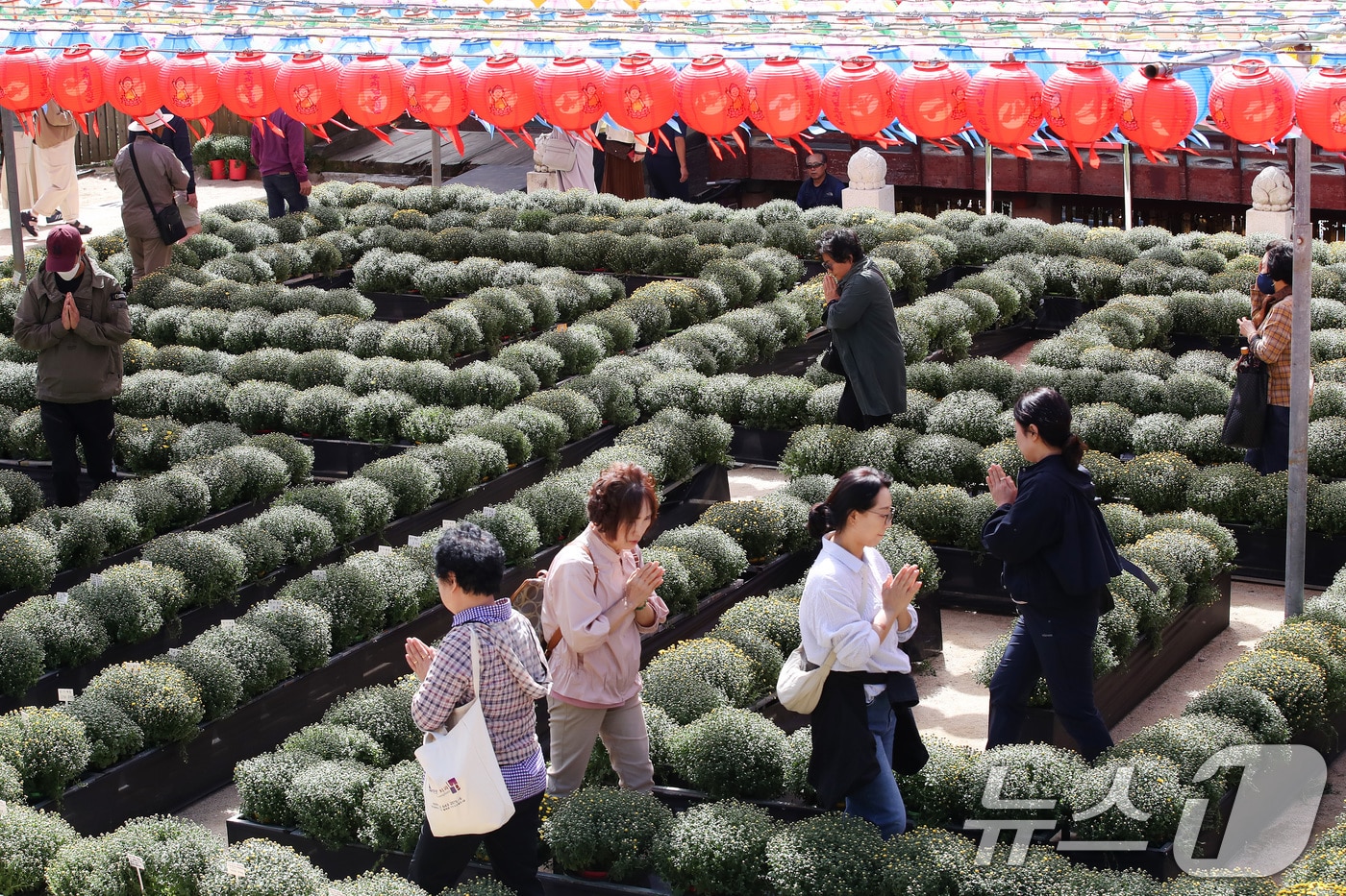 스님들의 산중(山中) 장터 문화를 재현한 전국 유일의 승시(僧市) 축제가 대구 팔공산 자락에서 열린다. 사진은 지난해 열린 축제 모습. 2024.10.2/뉴스1 ⓒ News1 자료 사진