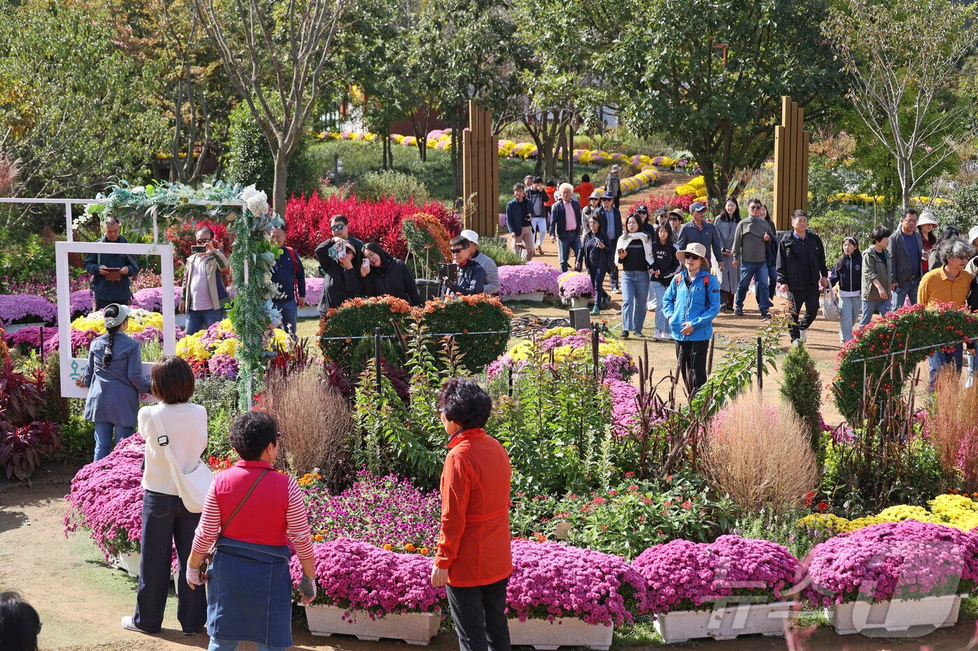 완연한 가을 날씨를 보인 20일 전북특별자치도 임실군 운암면 옥정호 붕어섬 생태공원이 관광객들로 붐비고 있다. (임실군청 제공) 2024.10.20/뉴스1 ⓒ News1 포토공용 기자