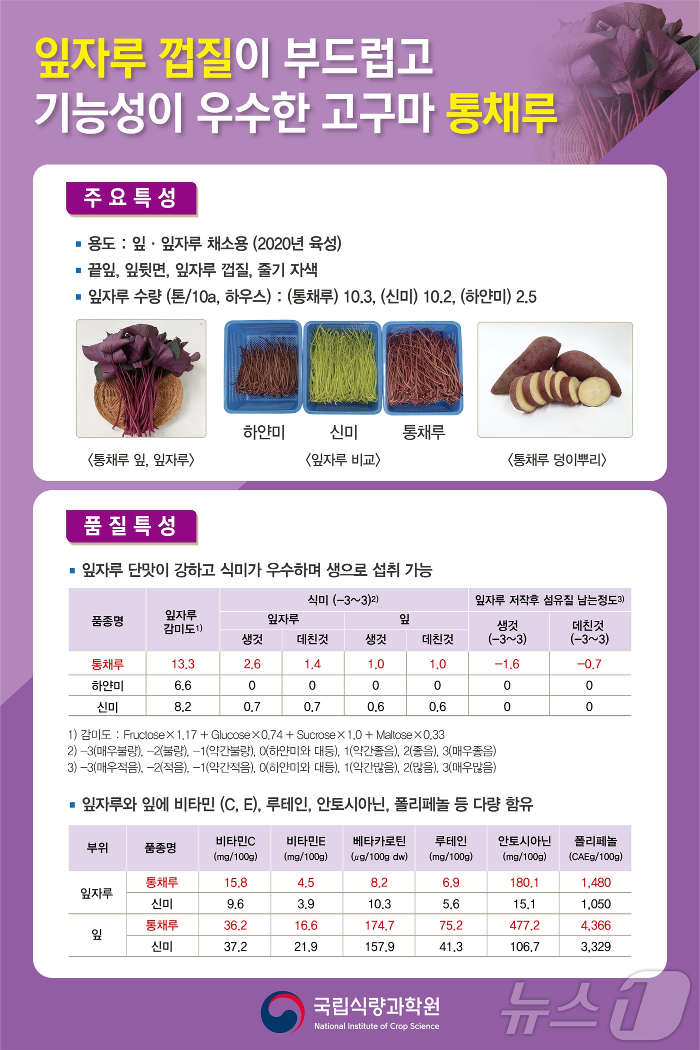 고구마 신품종 통채루 포스터. /뉴스1