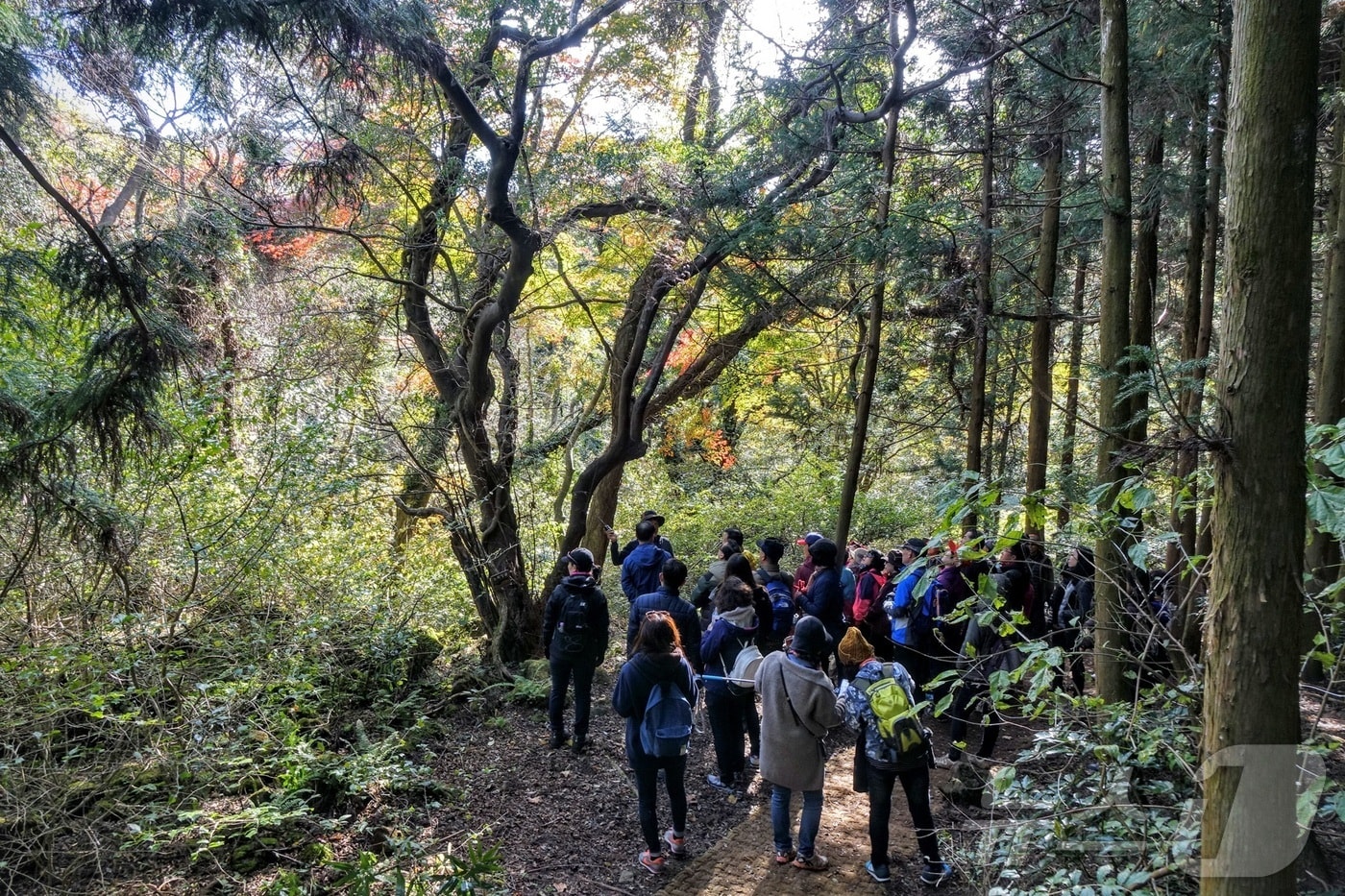 거문오름 트레킹&#40;비짓제주 제공&#41;/뉴스1