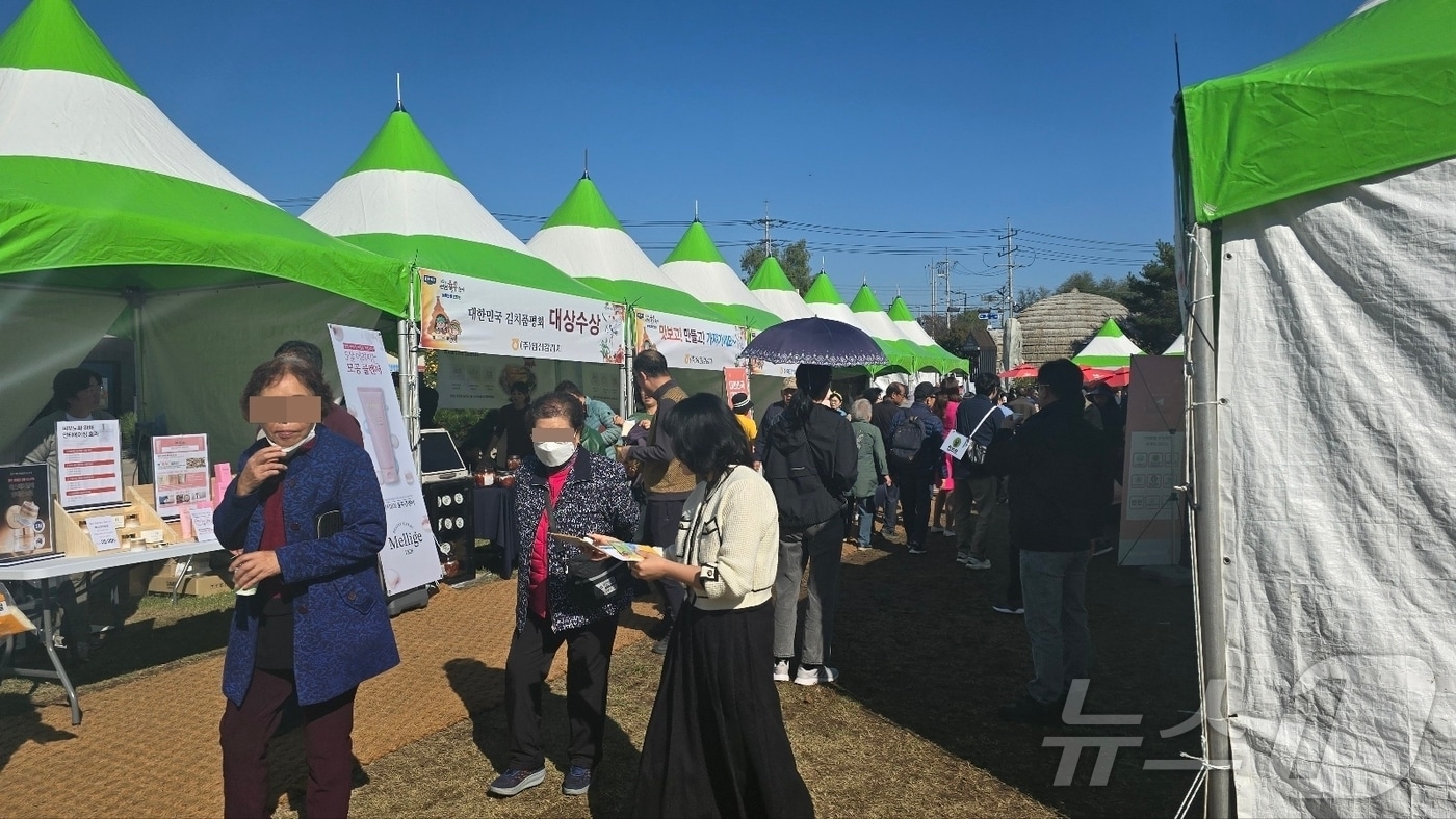 25일 연천 율무축제가 개막한 연천군 구석기 유적지. /박대준 기자