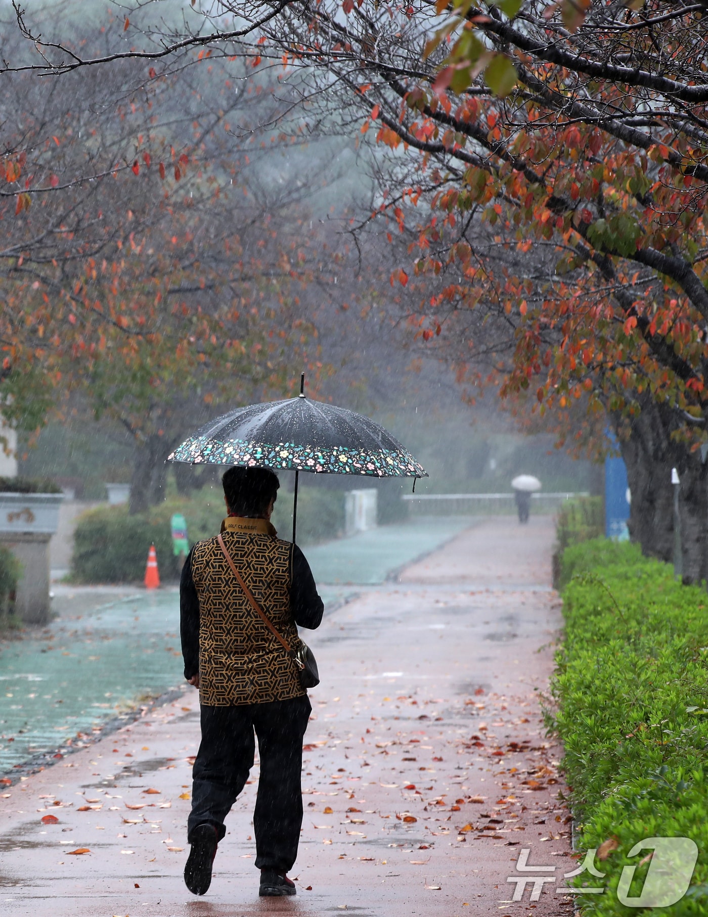 부산 금정구 스포원파크 금정체육공원에서 우산을 쓴 시민이 이동하고 있다. 2024.10.28/뉴스1 ⓒ News1 윤일지 기자