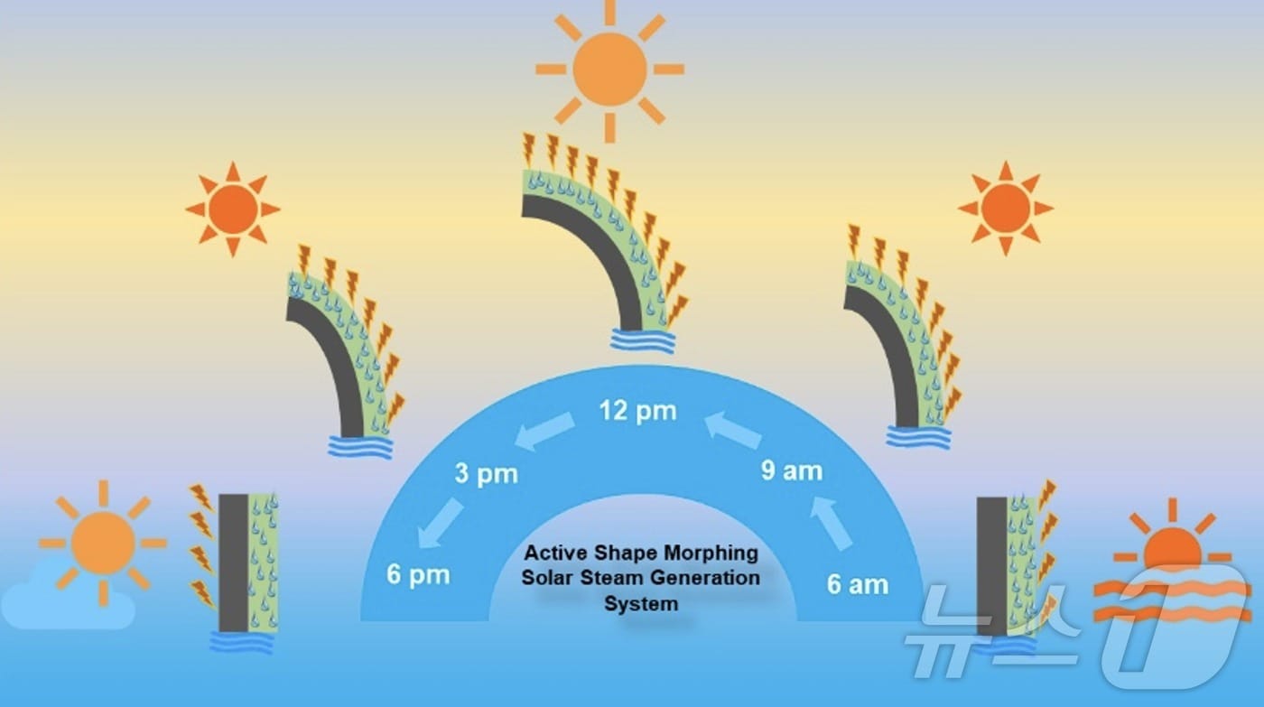 태양열 증기 생성용 열반응성 자가 형태 변환 액추에이터. &#40;전남대 제공&#41;/뉴스