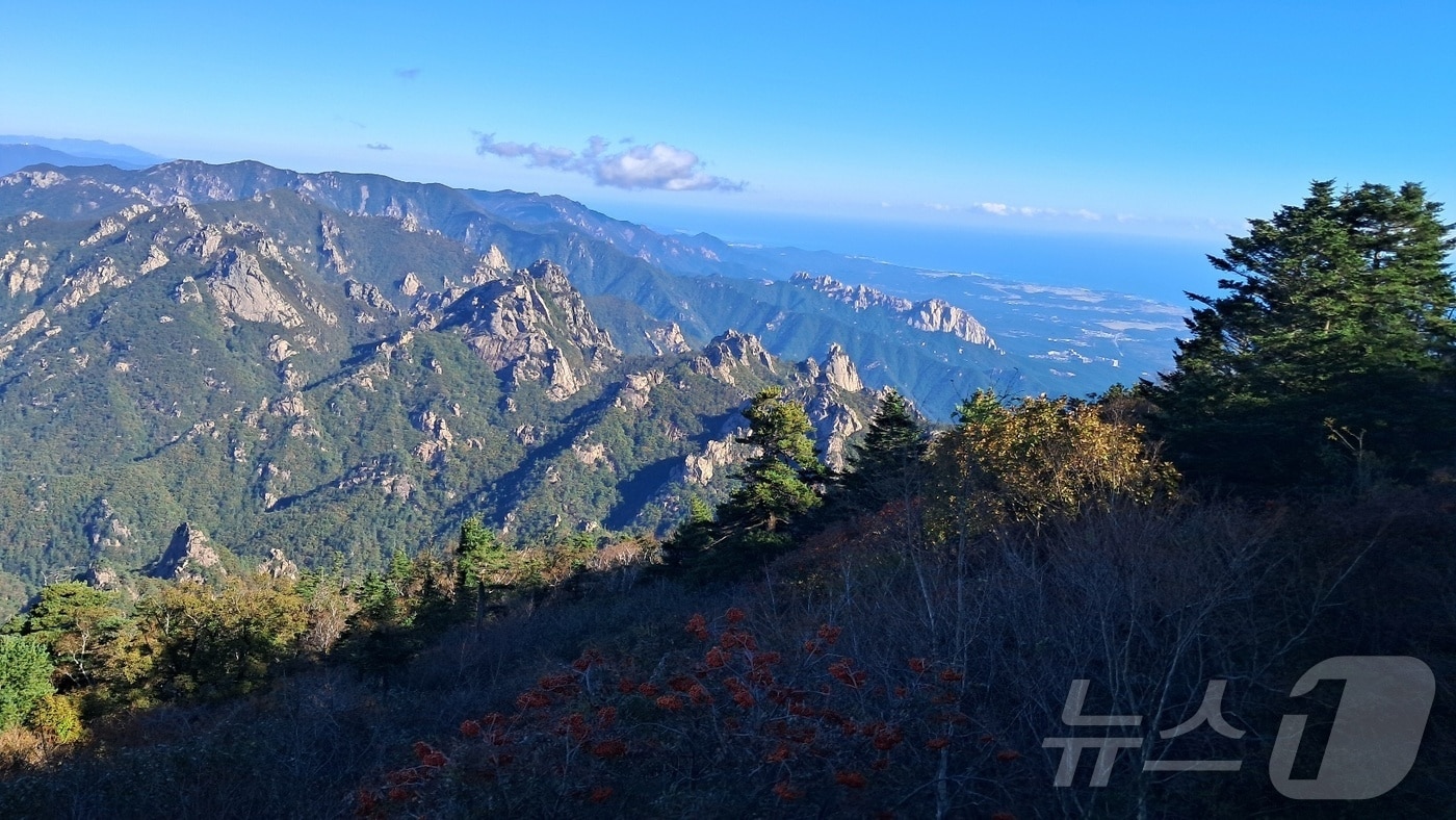 기사 이해를 돕기 위한 강원 설악산 국립공원 자료 사진으로, 기사 내용과 직접 관련 없음.  ⓒ News1