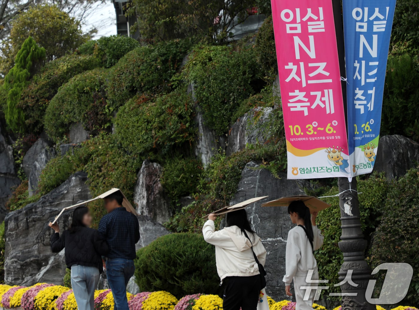 임실N치즈축제 마지막날인 6일 전북자치도 임실군 치즈테마파크에서 방문객들이 빗방울이 떨어지자 박스로 비를 막으며 발걸음을 재촉하고 있다. 2024.10.6/뉴스1 ⓒ News1 유경석 기자