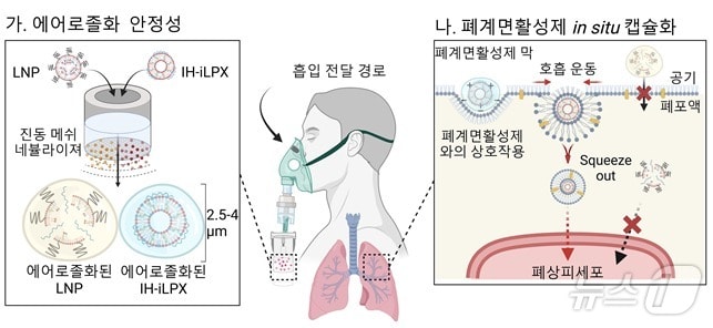 흡입 최적화 지질 나노 복합체의 mRNA 흡입 전달 전략 모식도.(KAIST 제공)/뉴스1