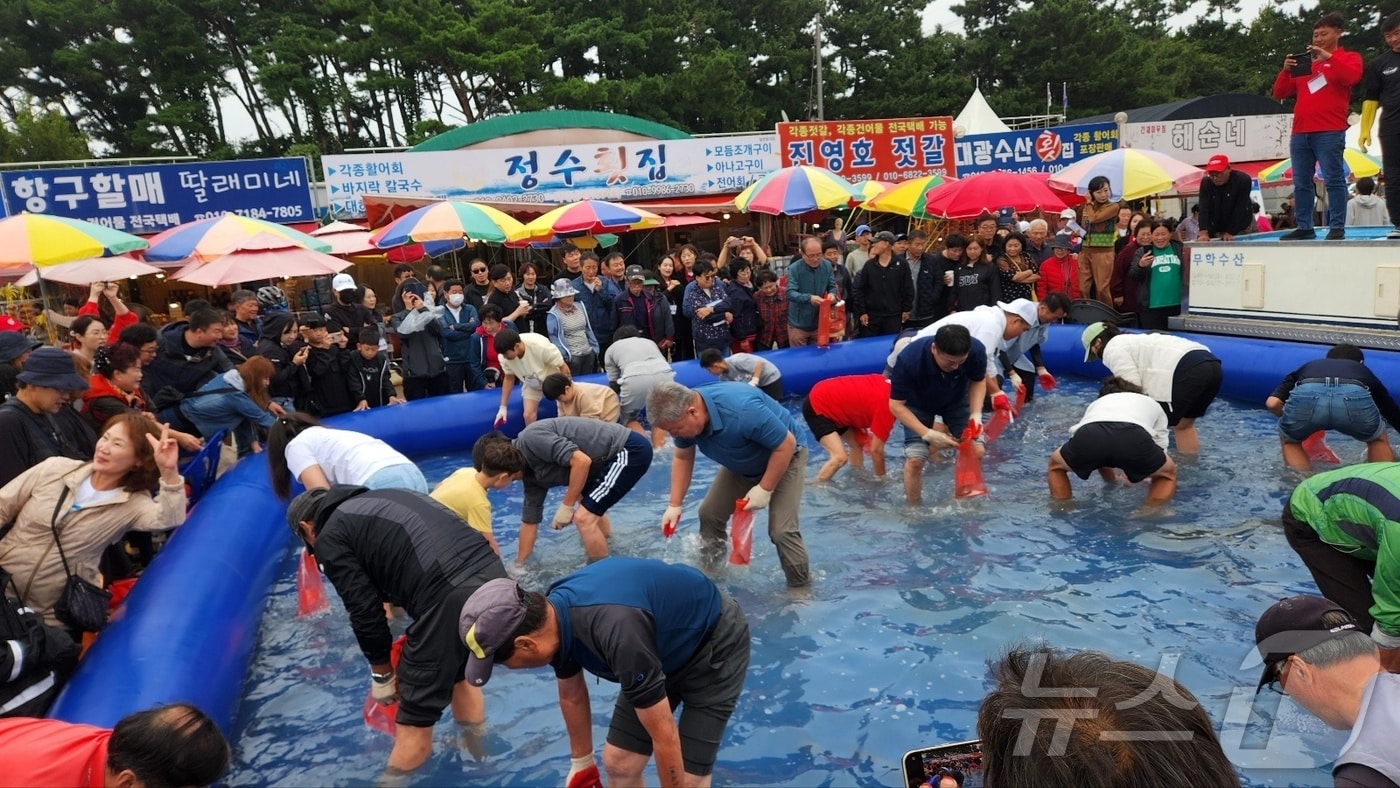 서산 어리굴젓 축제 참가자들이 맨손으로 대하 전어잡기 체험을 즐기고 있다.&#40;서산시 제공&#41; /뉴스1