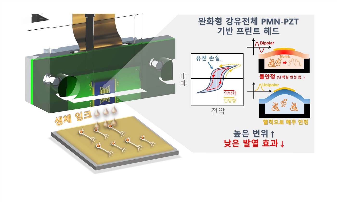 KIST 연구진이 개발한 바이오프린팅용 잉크젯 프린터 헤드 모식도(한국과학기술연구원 제공)