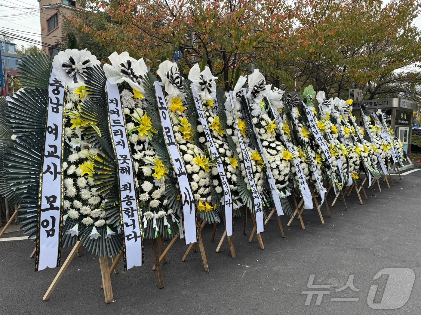 1일 인천시교육청 본관 앞에 특수교사 A 씨를 추모하는 조화가 설치돼 있다. 2024.11.1/뉴스1 ⓒ News1 박소영 기자