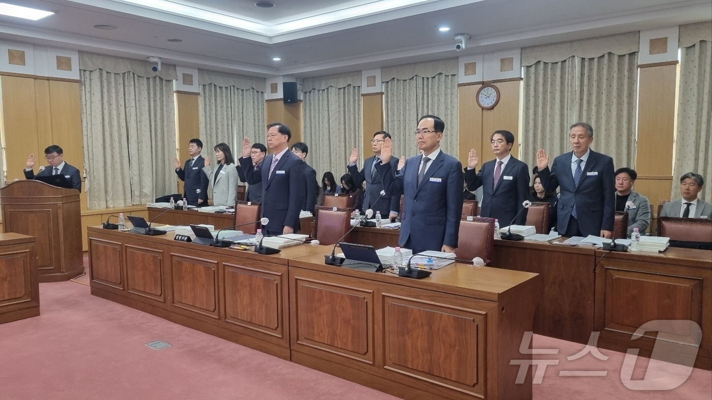 11일 대전시의회 교육위원회 행정사무감사에서 대전교육청 관계자들이 선서하고 있다. 2024.11.11/뉴스1 ⓒ News1 김태진 기자