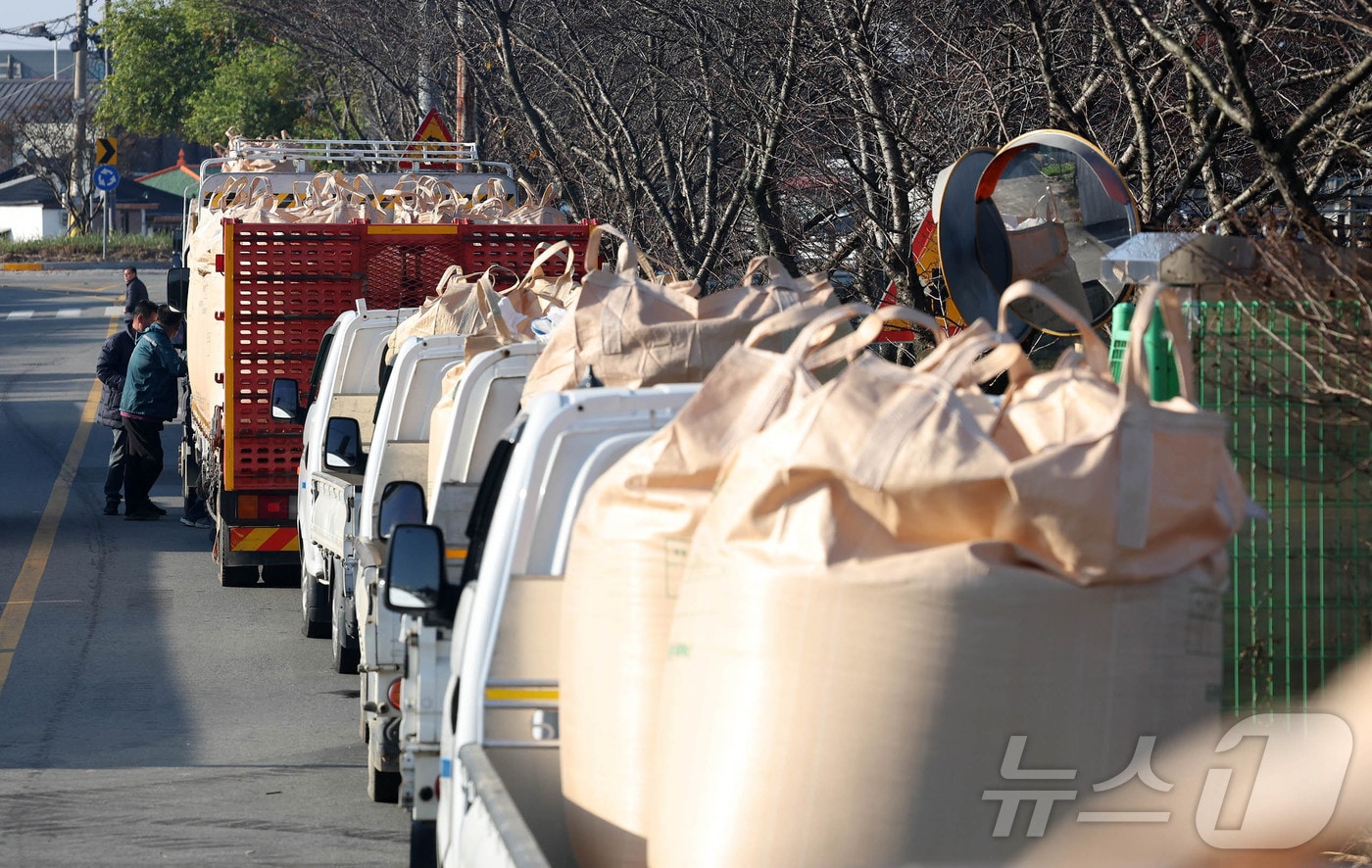(뉴스1 사진자료)2024.11.11/뉴스1 ⓒ News1