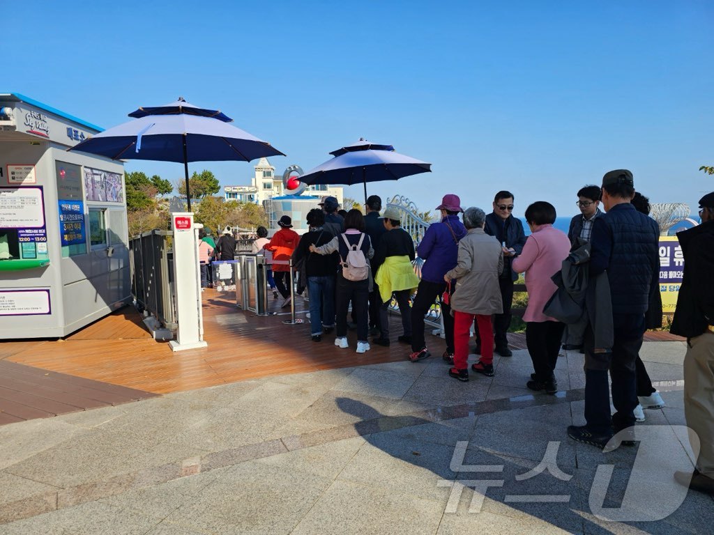 동해시, 시티투어버스 연계 전통시장 사회공헌 프로그램.&#40;동해시 제공&#41; 2024.11.13/뉴스1