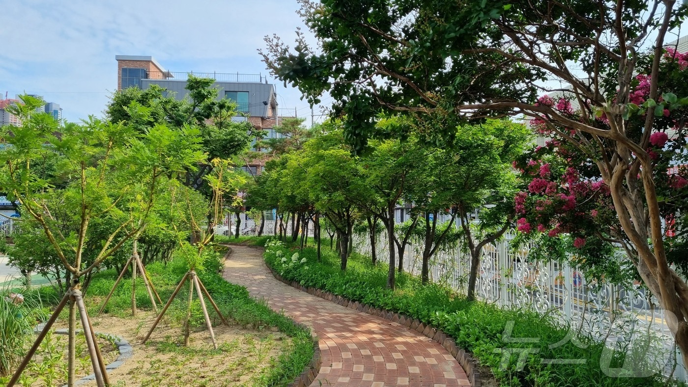 조성분야 최우수 대구 수성 황금초등학교&#40;산림청 제공&#41;/뉴스1