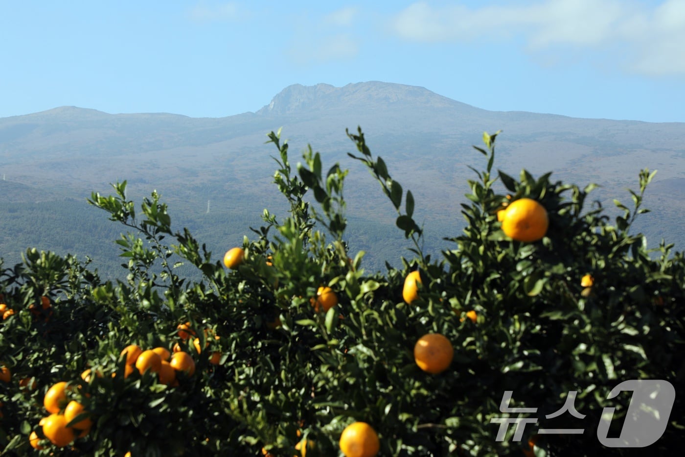 자료사진.ⓒ News1 고동명 기자