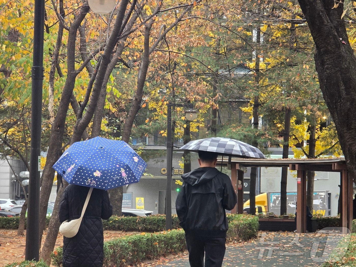 16일 경기 고양 덕양구 화정역 인근에 가을비가 내리고 있다. 2024.11.16/뉴스1 ⓒ News1 황덕현 기후환경전문기자