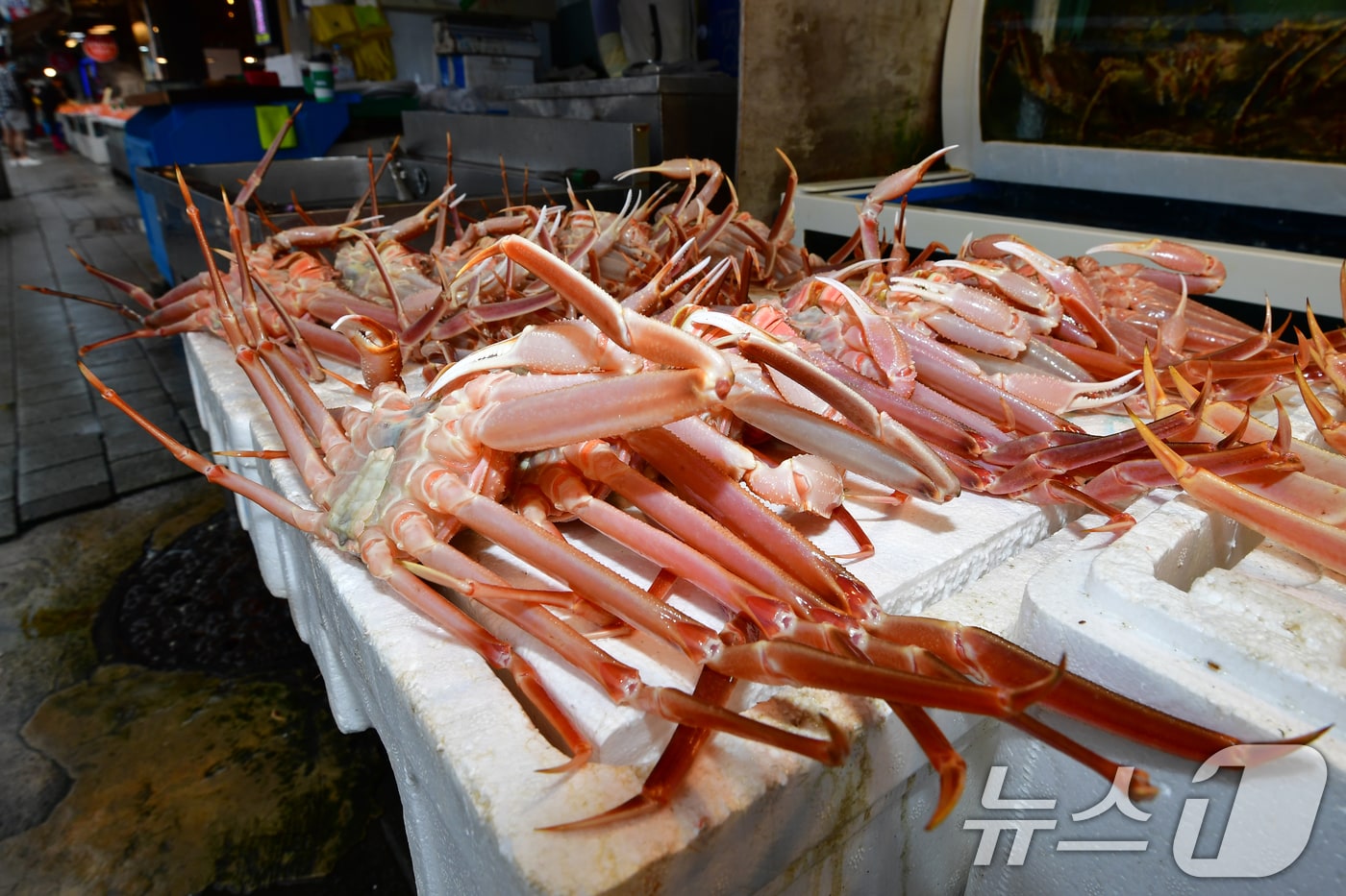 (사진은 기사 내용과 무관함) / 뉴스1 ⓒ News1