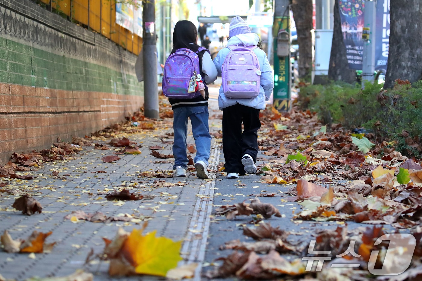 하루 사이 기온이 크게 떨어진 18일 오전 대구 도심의 한 초등학교 앞에서 겨울옷을 챙겨입은 학생들이 낙엽이 뒹구는 등굣길을 지나고 있다. 2024.11.18/뉴스1 ⓒ News1 공정식 기자