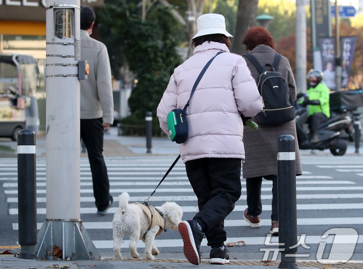 시민이 반려견과 산책하는 모습. ⓒ News1 공정식 기자