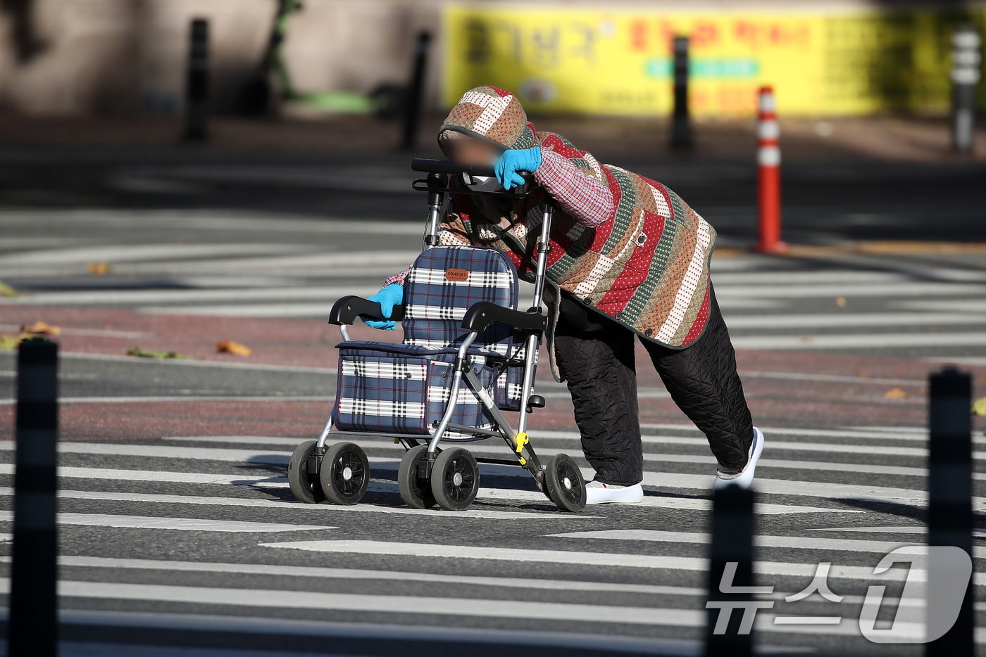한 노인이 보행보조기에 의지한 채 횡단보도를 건너고 있다.(자료사진,  기사 내용과 무관함) / 뉴스1 ⓒ News1
