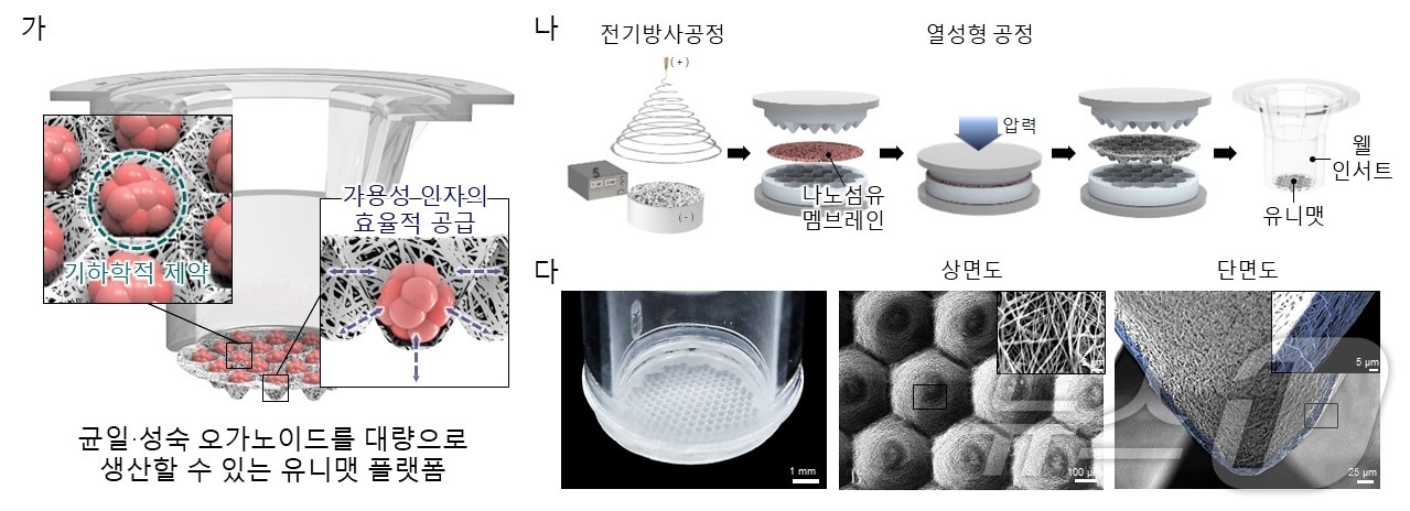 유니맷 플랫폼의 모식도&#40;가&#41;, 유니맷 제작 과정&#40;다&#41;, 제작된 유니맷 플랫폼&#40;나&#41;. &#40;포항공대 제공&#41;/뉴스1