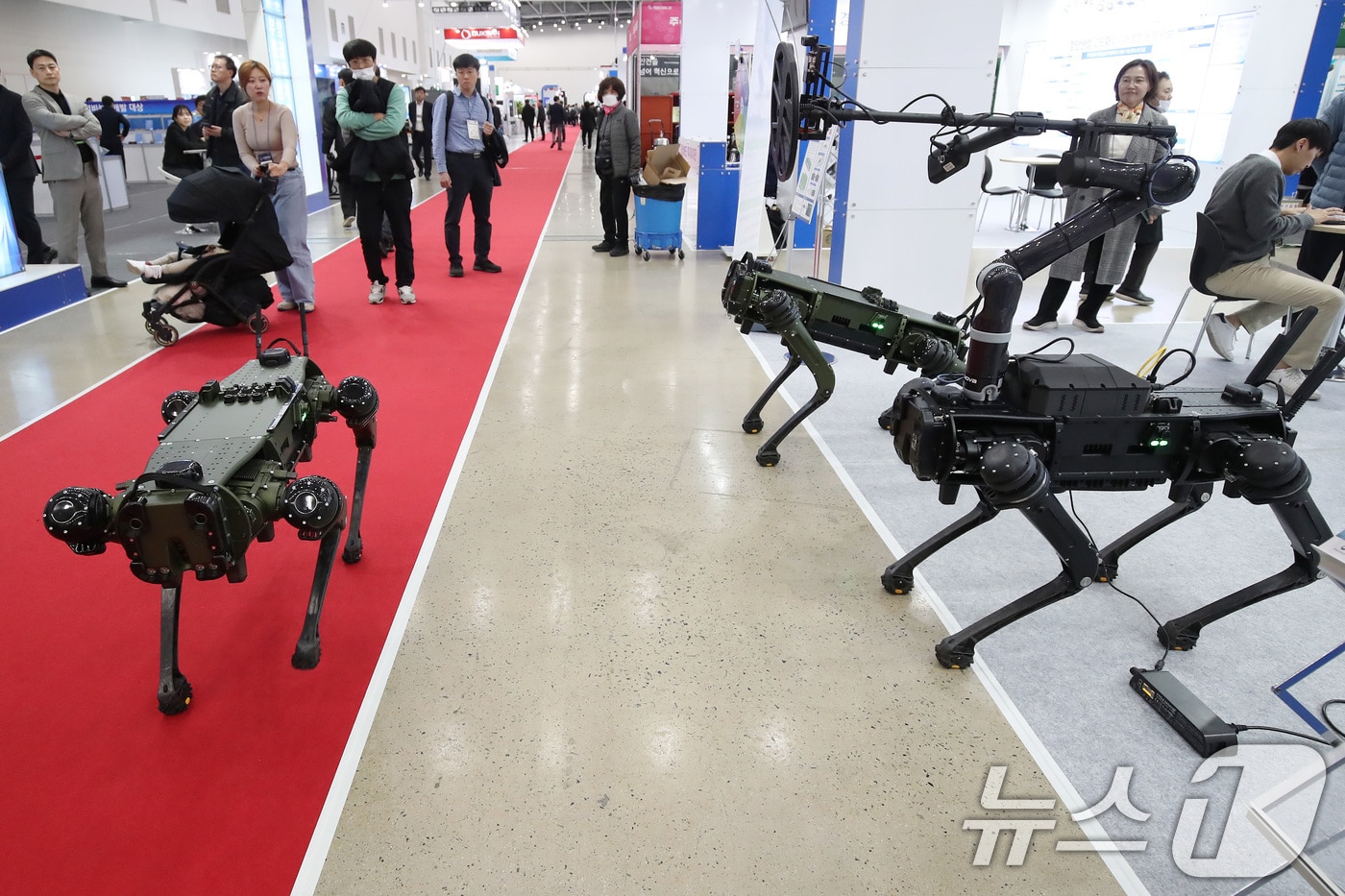지난해 11월19일 대구 엑스코에서 열린 '대구국제기계산업대전'에서 국방기술진흥연구소의 지뢰탐지용 무인로봇이 시연하고 있다. 2024.11.19/뉴스1 ⓒ News1 공정식 기자