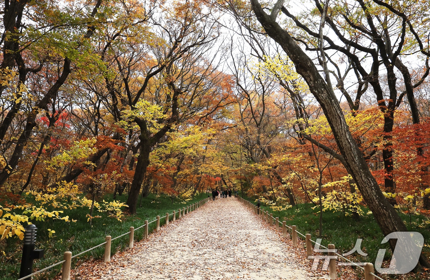 자료사진/뉴스1