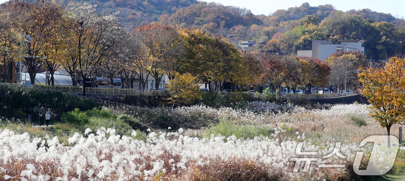 21일 전북자치도 전주시 전주한옥마을 전주천변에서 시민들이 산책을 하고 있다. 2024.11.21/뉴스1 ⓒ News1 유경석 기자