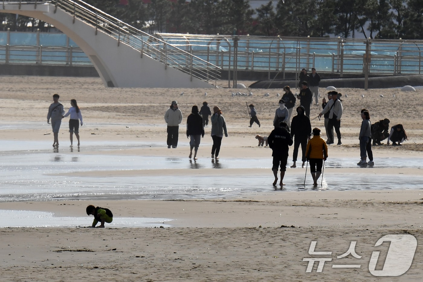 지난 24일 경북 포항시 북구 영일대해수욕장 백사장에서 관광객들이 여유로운 시간을 보내고 있다. 2024.11.24/뉴스1 ⓒ News1 최창호 기자