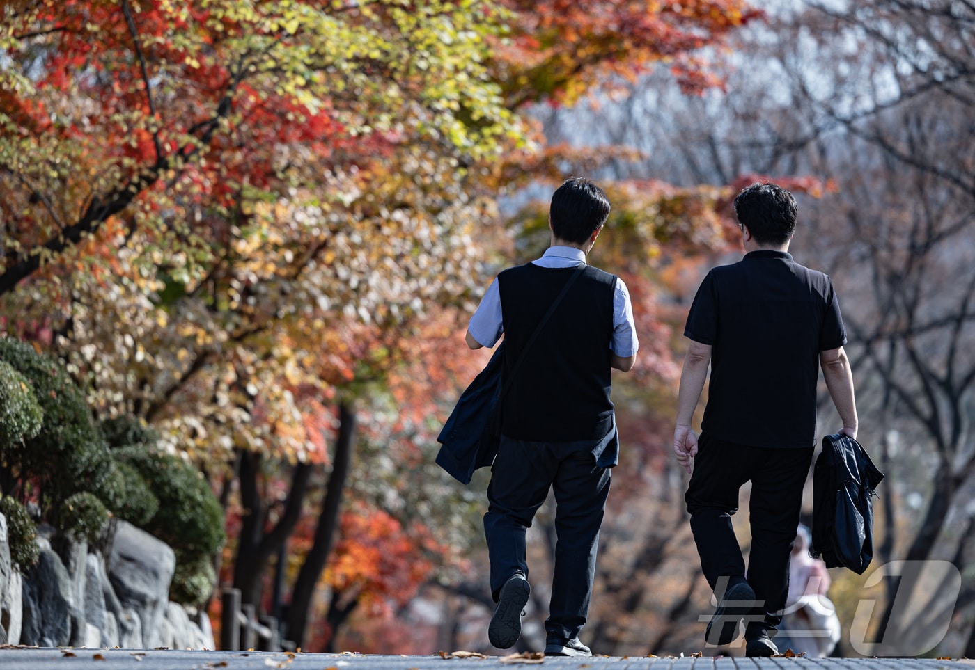 자료사진./뉴스1