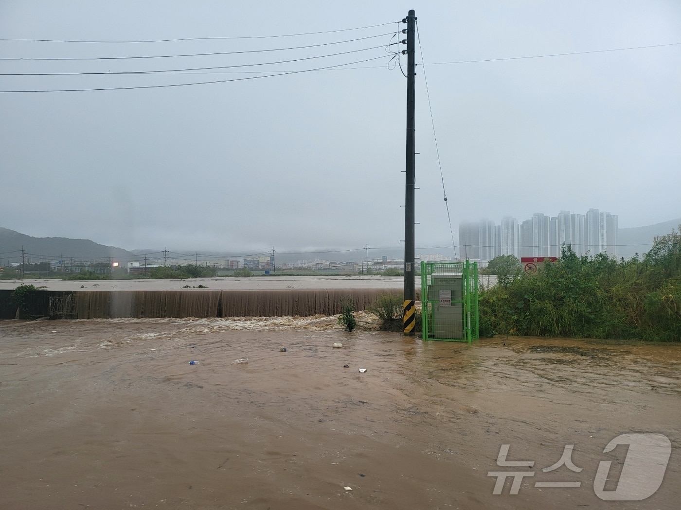 지난 9월 집중호우로 범람한 조만강 모습.&#40;독자 제공&#41;