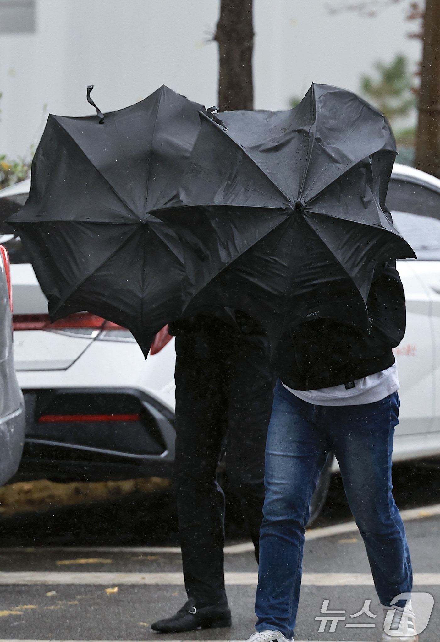 26일 오후 서울 마포구 거리를 지나는 시민이 거세게 몰아치는 비바람에 힘겹게 발걸음을 옮기고 있다. 기상청은 이날 전국에 비와 함께 강한 바람이 불다가 새벽에는 수도권에 첫눈이 내릴 것으로 예보했다. 2024.11.26/뉴스1 ⓒ News1 박정호 기자