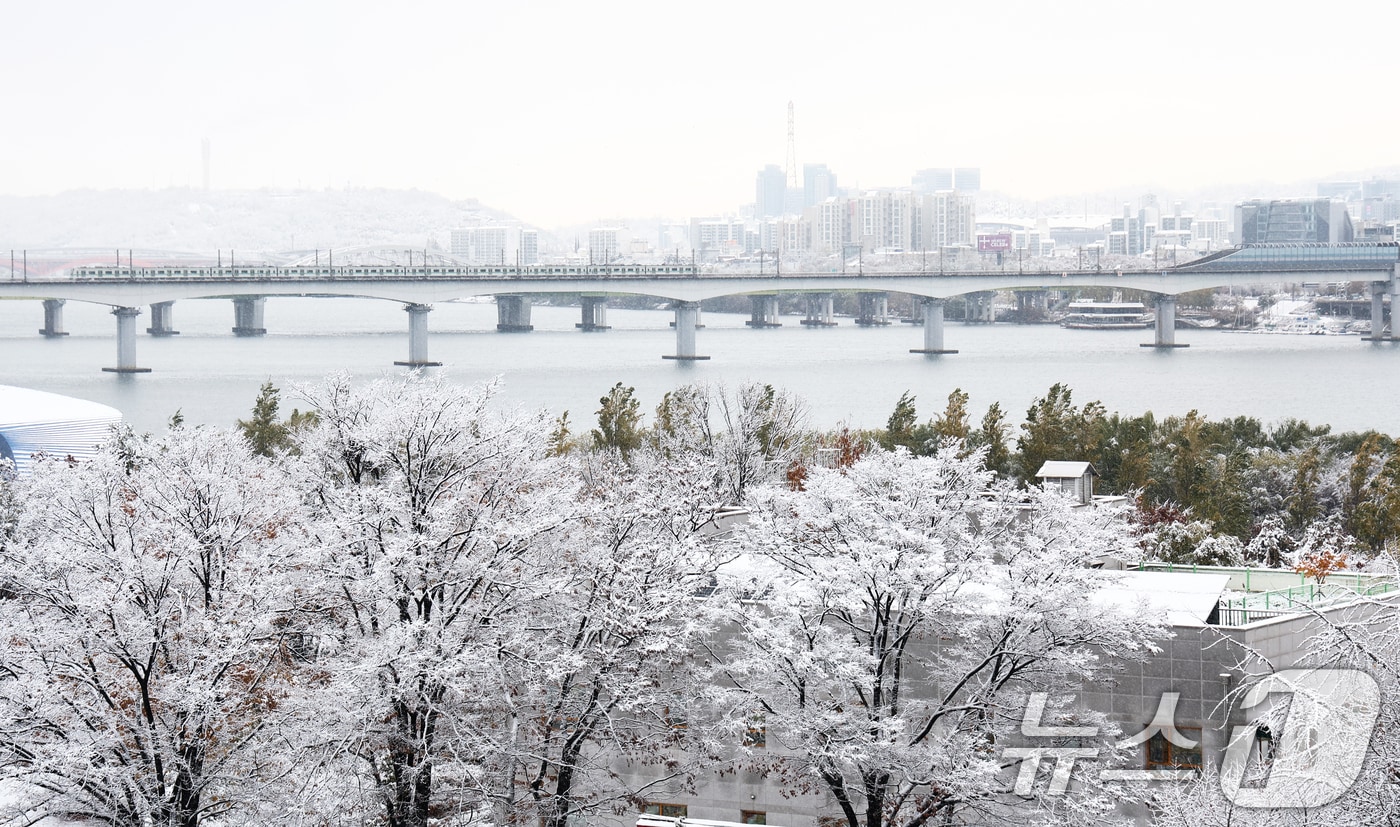 서울 전역에 대설주의보가 발효된 27일 오전 서울 여의도 국회에서 바라본 도심이 하얗게 변해 있다. 2024.11.27/뉴스1 ⓒ News1 김민지 기자