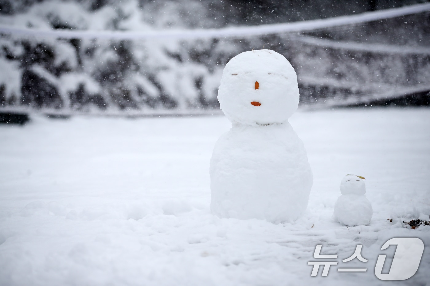 눈사람.&#40;뉴스1 DB&#41; ⓒ News1 이승배 기자