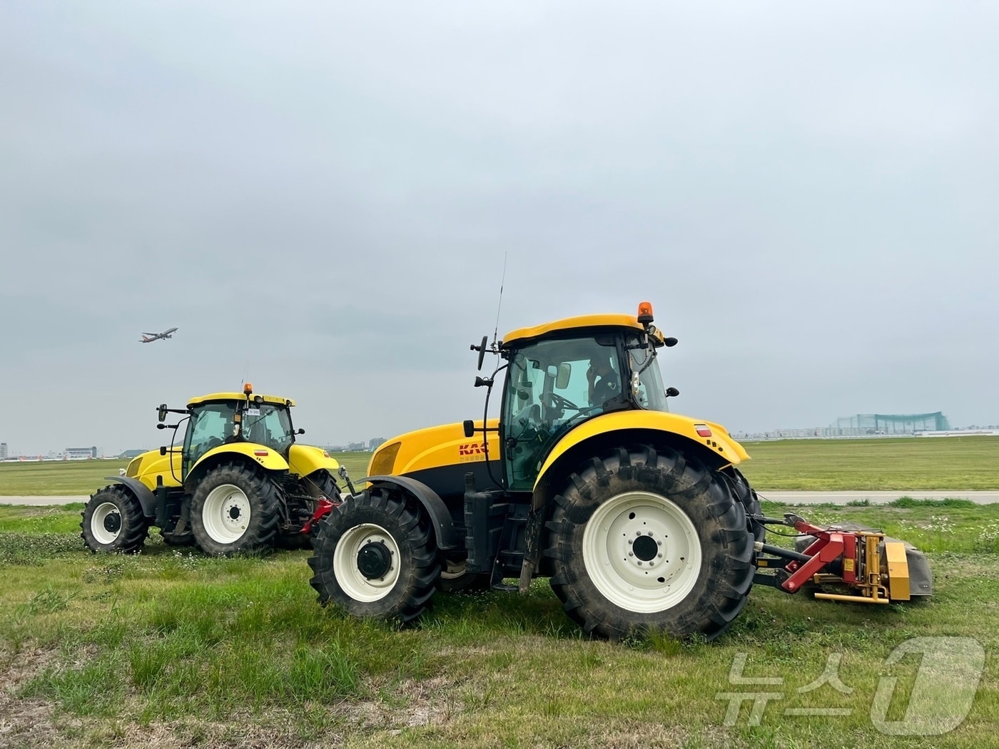 김포공항 이동지역 삭초 작업(한국공항공사 제공) / 뉴스1