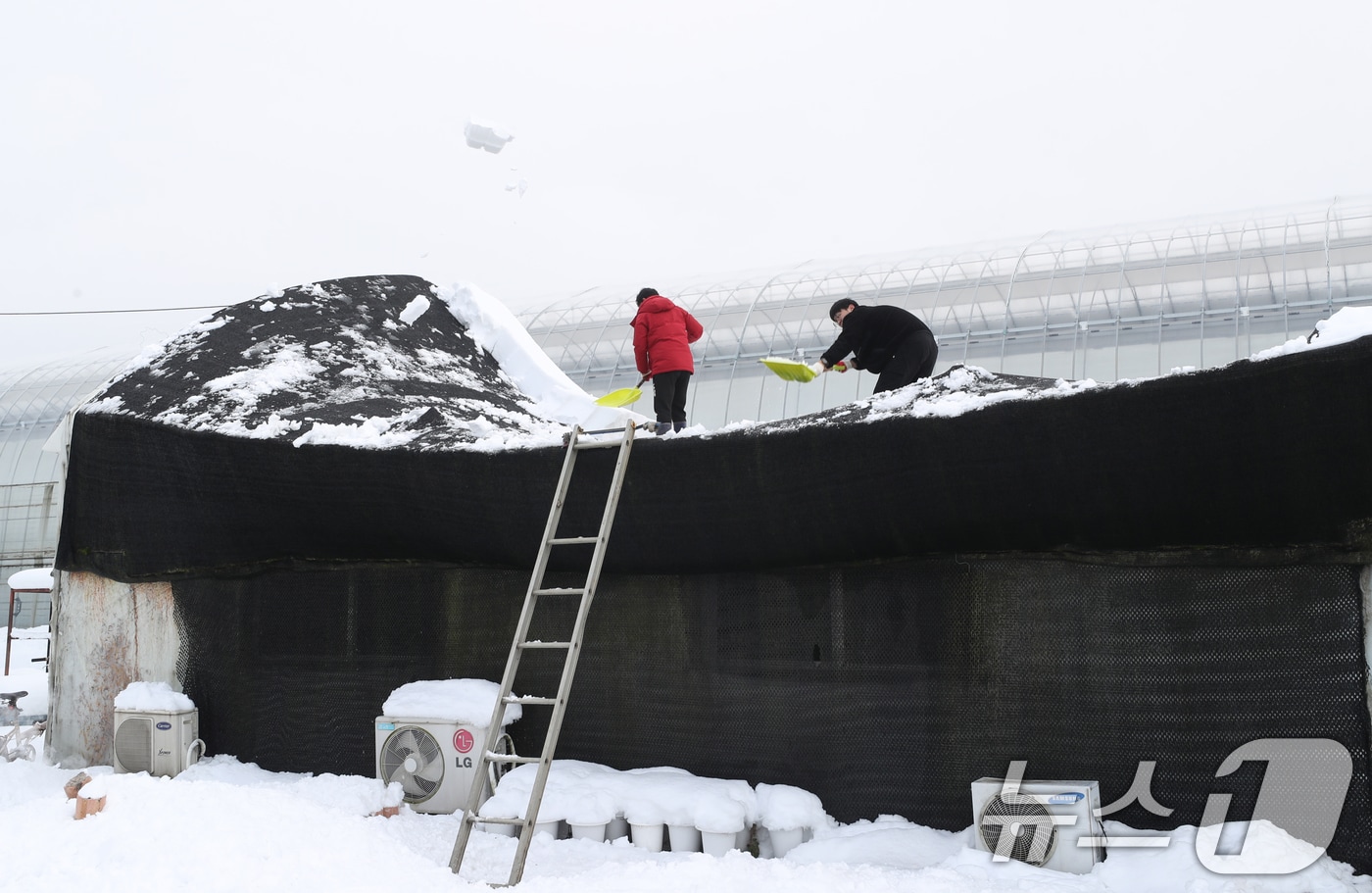 서울을 비롯한 수도권에 기록적인 폭설이 쏟아진 28일 오후 경기 용인시 처인구 남사화훼단지 일대 비닐하우스들이 눈의 무게를 이기지 못하고 무너져 관계자들이 눈을 치우고 있다. 2024.11.28/뉴스1 ⓒ News1 김영운 기자