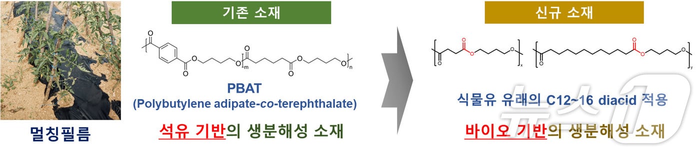 멀칭필름 제조용 신규 생분해성 소재 개발 개념도&#40;섬유개발연구원 제공&#41;