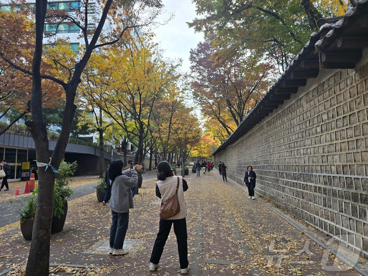 입동&#40;立冬, 7일&#41;을 사흘 앞둔 4일, 서울 중구 정동길&#40;덕수궁길&#41;에 가을 단풍을 구경하려는 시민들이 몰려 있다.2024.11.4/뉴스1 ⓒ News1 황덕현 기후환경전문기자