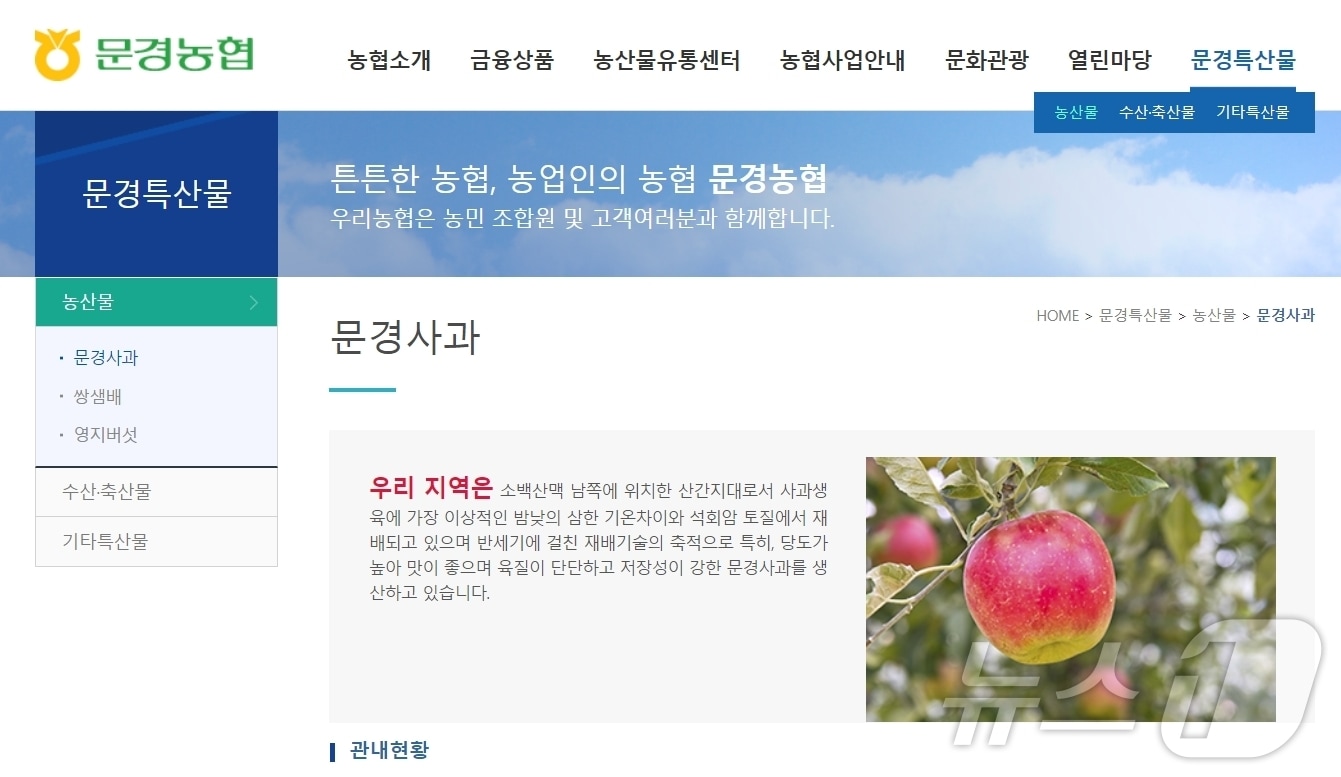 문경농협 홈페이지 내 사과를 특산물로 소개하고 있다&#40;문경농협 홈페이지&#41;2024.11.5/뉴스1