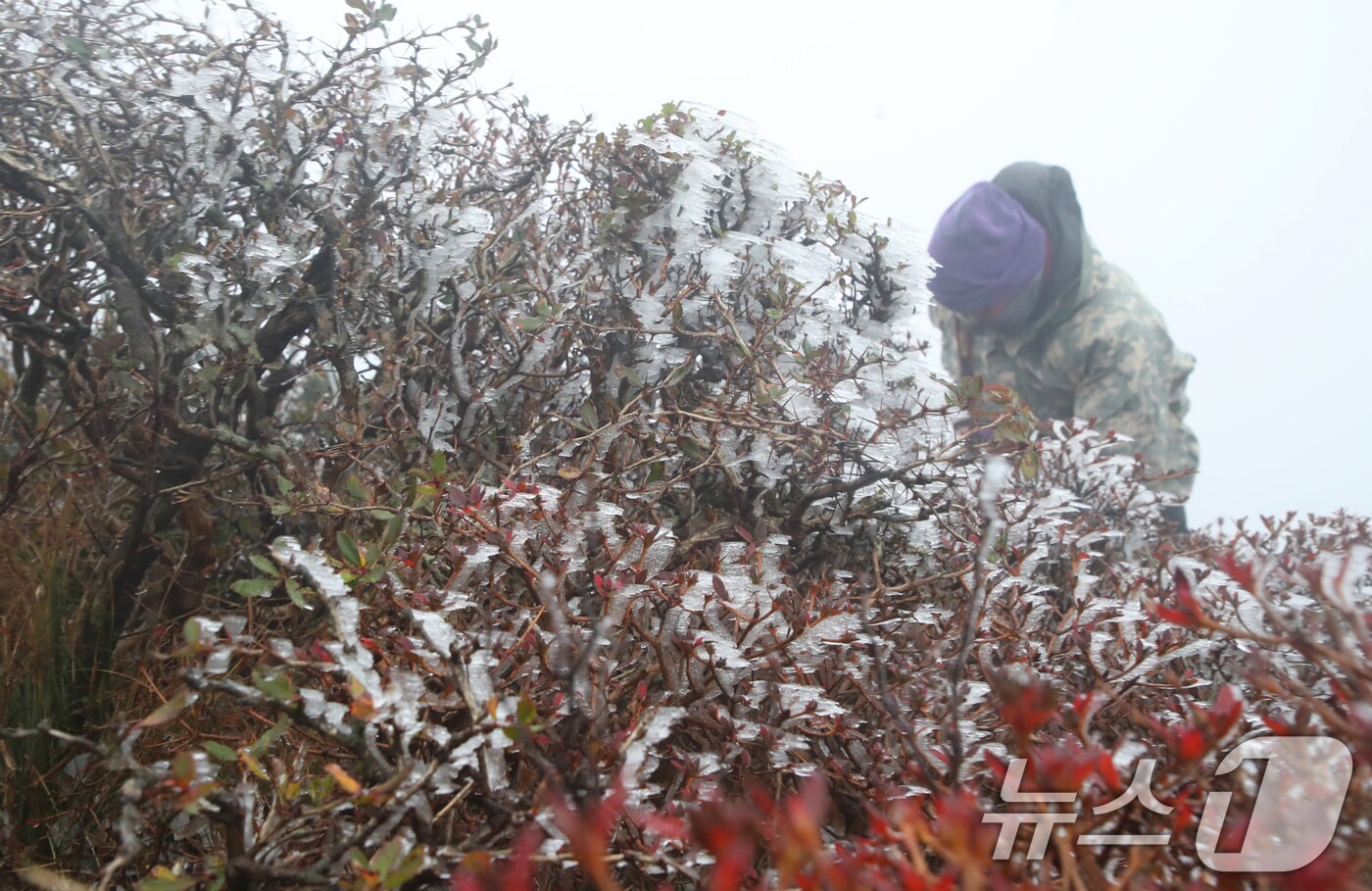 제주 한라산 상고대. / 뉴스1