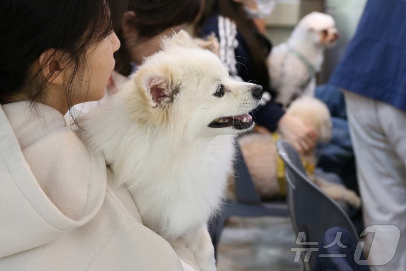 지난 4월 사립피노키오 자연휴양림 숲속 멍스토랑 모습.&#40;산림청 국립자연휴양림관리소 제공&#41;/뉴스1